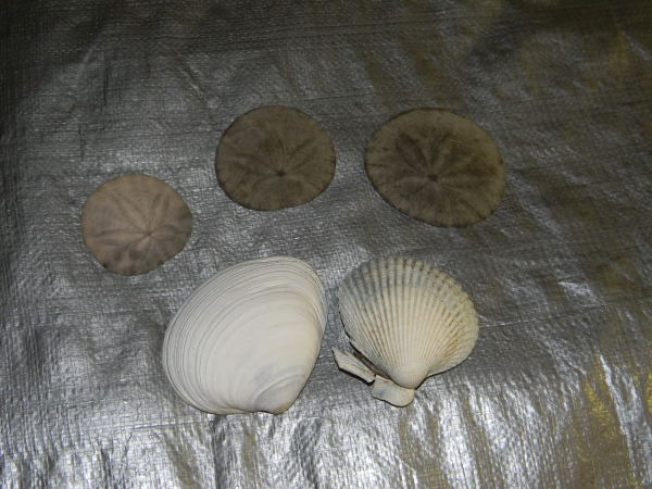 DSCN0282_01.JPG